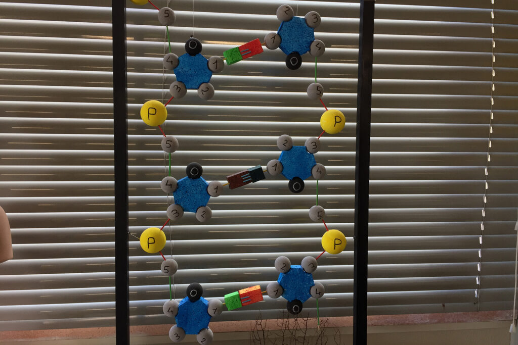 laboratorio di scienze