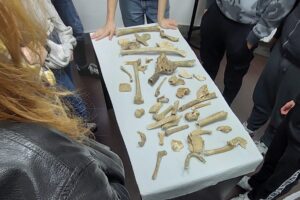 Scopri di più sull'articolo Laboratorio di antropologia