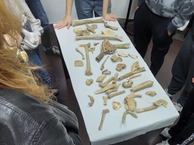 Laboratorio di antropologia