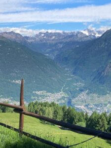 Scopri di più sull'articolo PCTO Liceoinmontagna