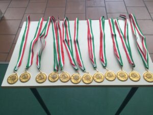 torneo pallavolo