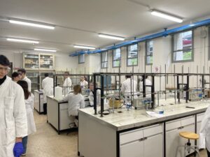 Scopri di più sull'articolo PCTO: progetto Montalcini