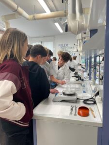 Scopri di più sull'articolo Laboratorio Bergamoscienza