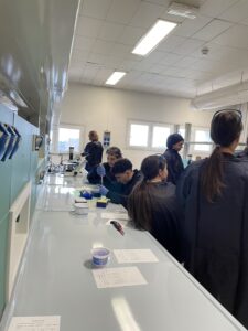 Scopri di più sull'articolo Orientamento classi quinte