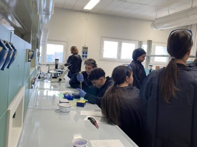 Orientamento classi quinte