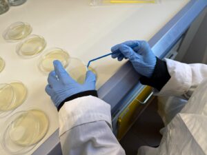 Scopri di più sull'articolo Corso sulle biotecnologie